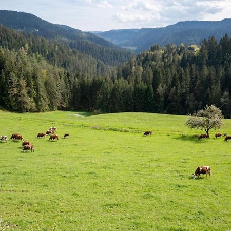 וילינגן-שוונינגן Lovely Apartment In The Black Forest מראה חיצוני תמונה