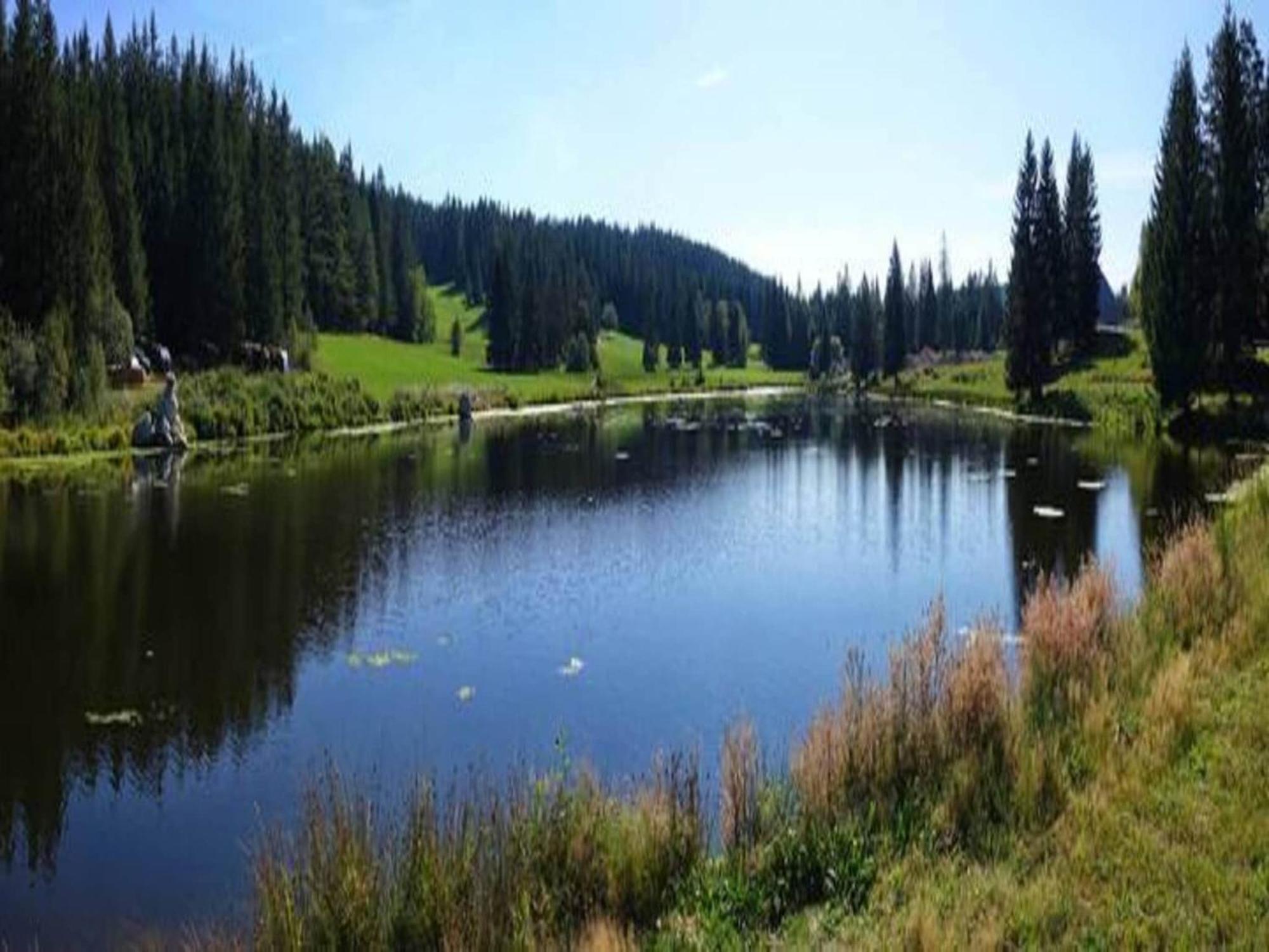 וילינגן-שוונינגן Lovely Apartment In The Black Forest מראה חיצוני תמונה