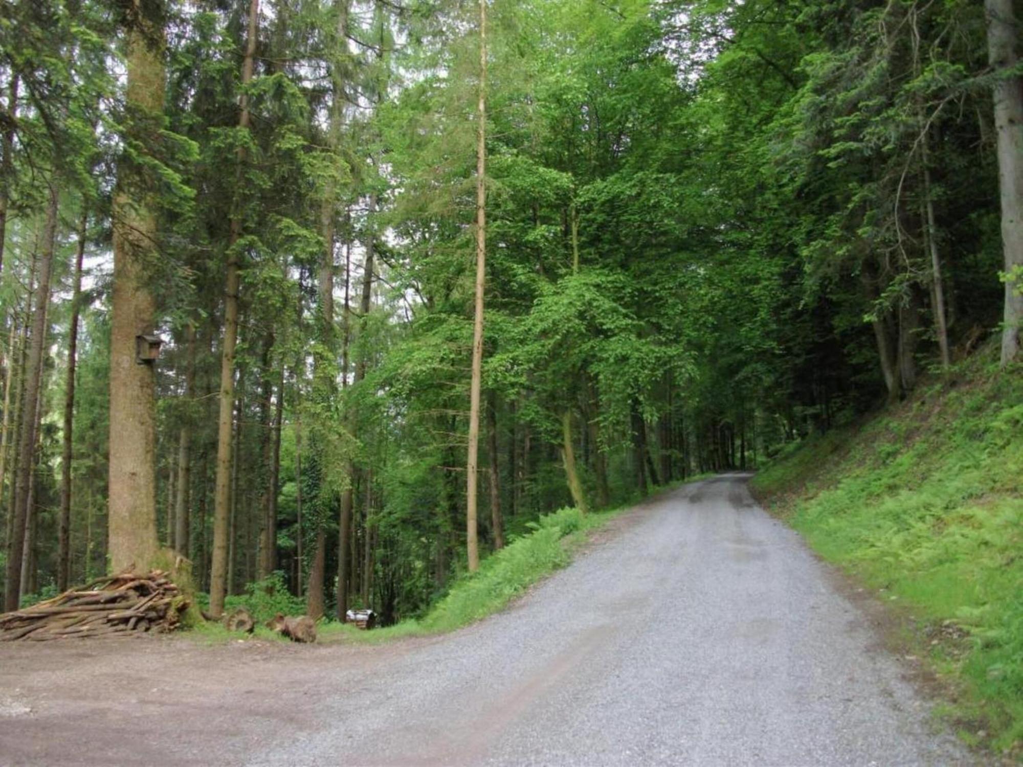 וילינגן-שוונינגן Lovely Apartment In The Black Forest מראה חיצוני תמונה
