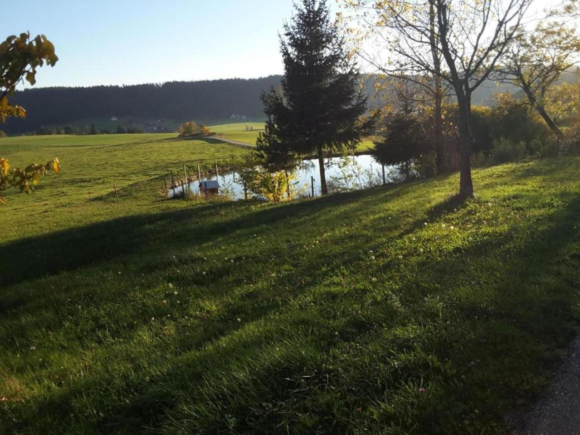 וילינגן-שוונינגן Lovely Apartment In The Black Forest מראה חיצוני תמונה