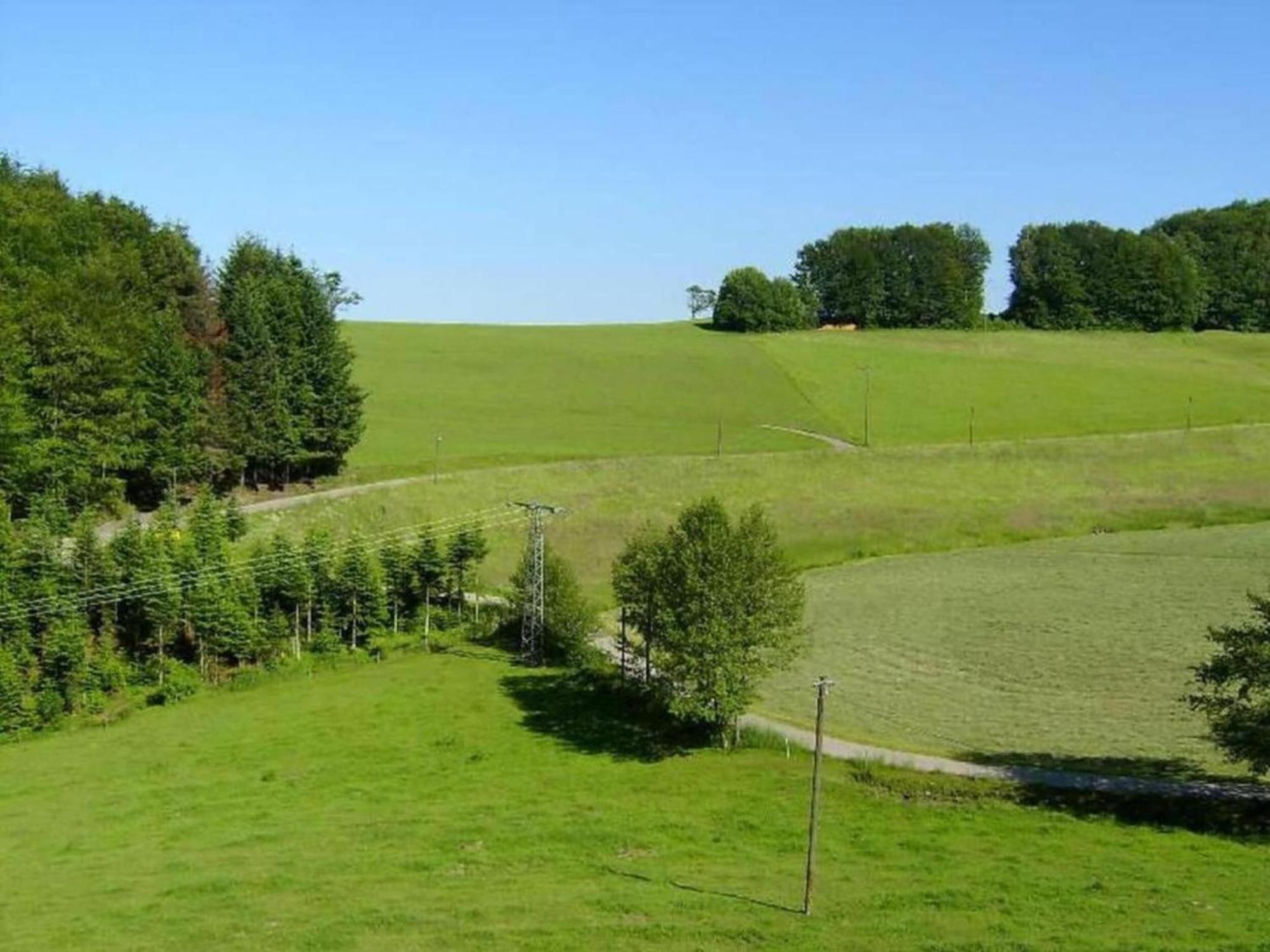וילינגן-שוונינגן Lovely Apartment In The Black Forest מראה חיצוני תמונה