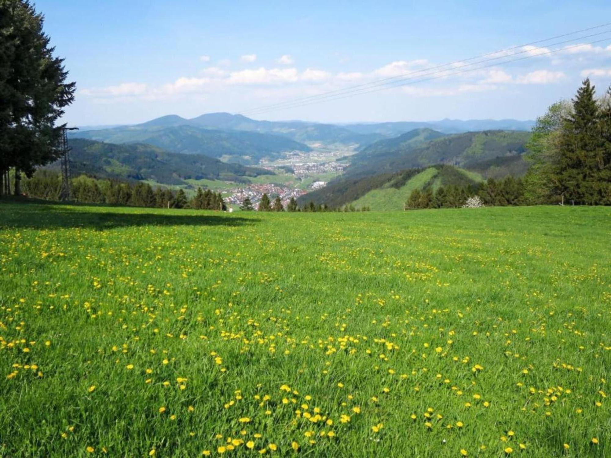 וילינגן-שוונינגן Lovely Apartment In The Black Forest מראה חיצוני תמונה